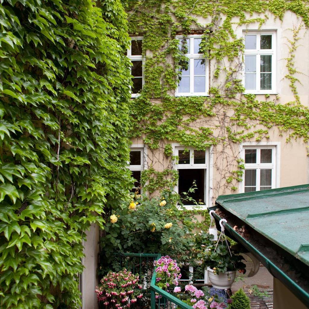 Hotel Schwalbe — 