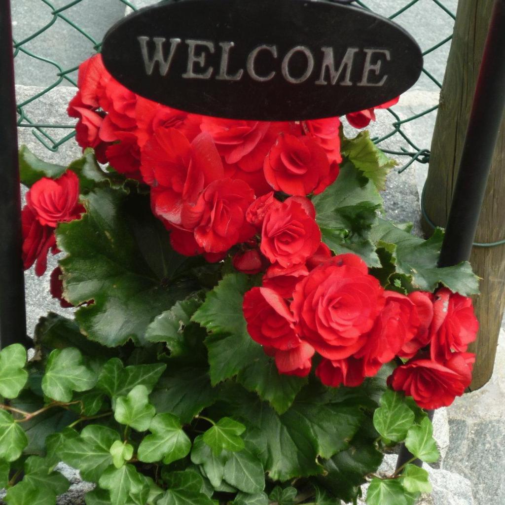 Charme Hotel Ristorante Tre Terre – image