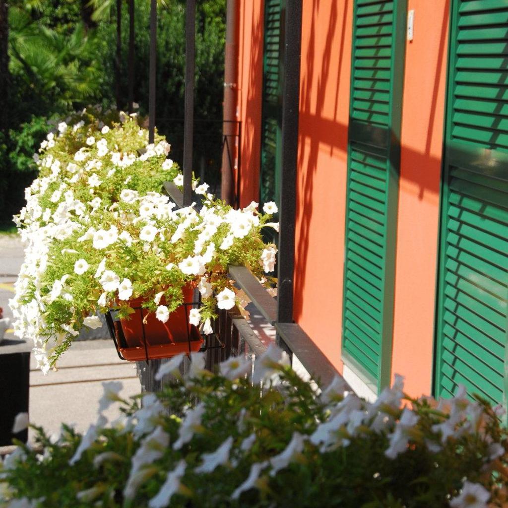 Charme Hotel Ristorante Tre Terre – image