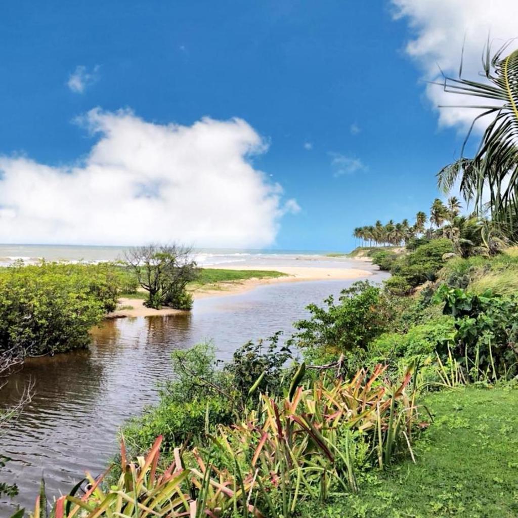 FLATS VILLAS LITORAL SUL - Lagoa do Pau - Coruripe - AL — foto 10