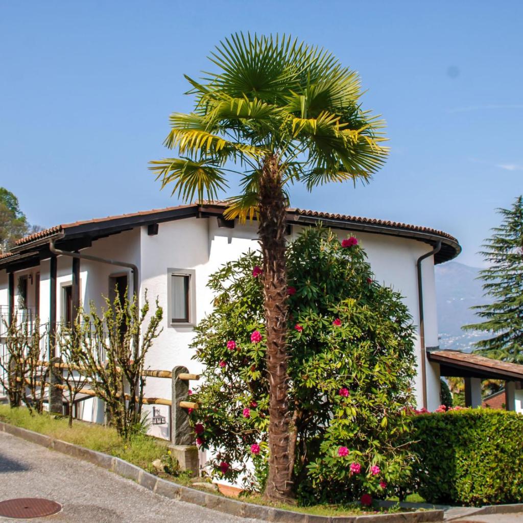 Image 1 - Apartment Residenza Miralago Apt- C28 by Interhome