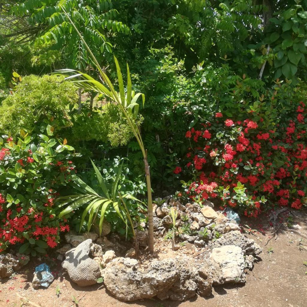 Foto 10
