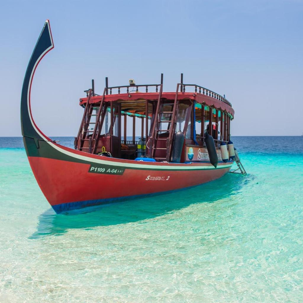Shamar Guesthouse & Dive, photo 3