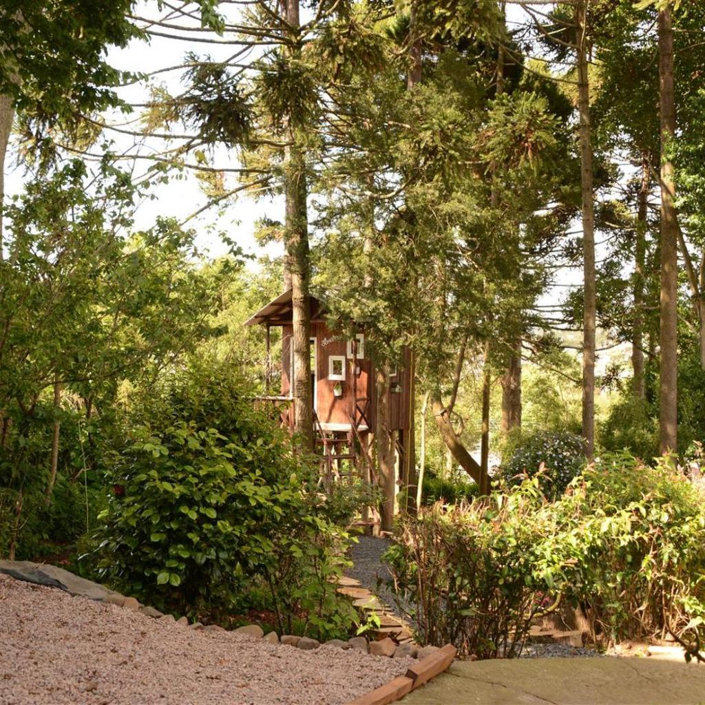 Quintal das Araucárias hospedagem — foto 6