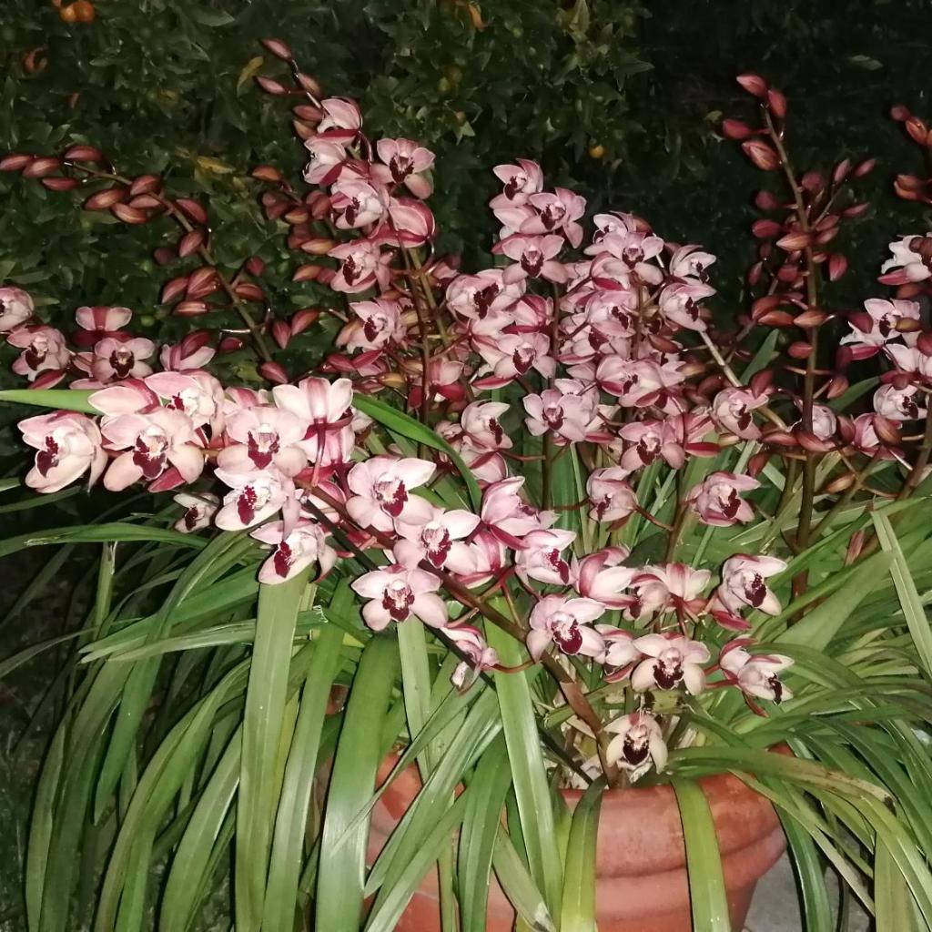 B&b Cilento Paestum photo