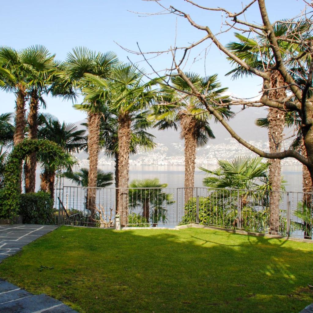 Image 22 - Apartment App- Vira Lago 500 Ost - EG by Interhome
