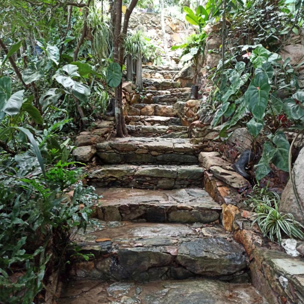 CASA DA MATA descanso e sossego na natureza — foto 8