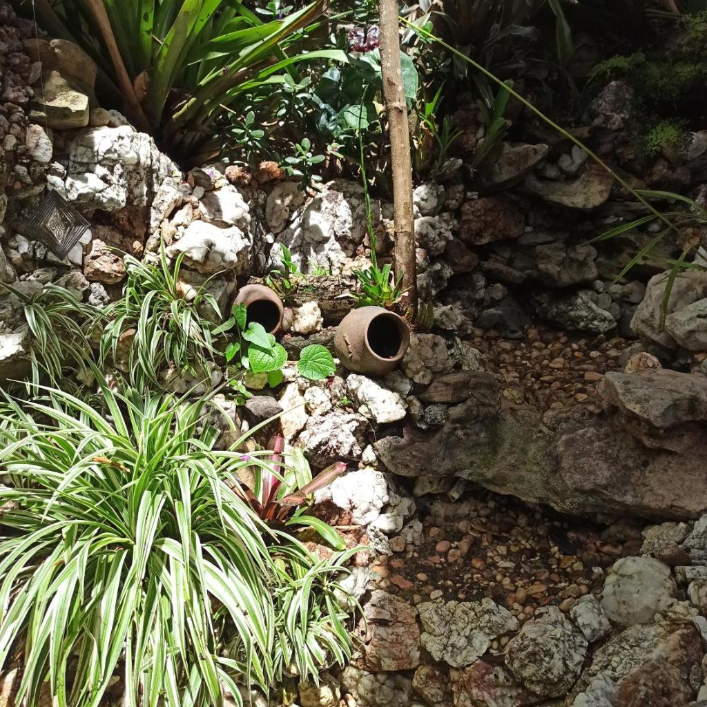CASA DA MATA descanso e sossego na natureza — foto 9