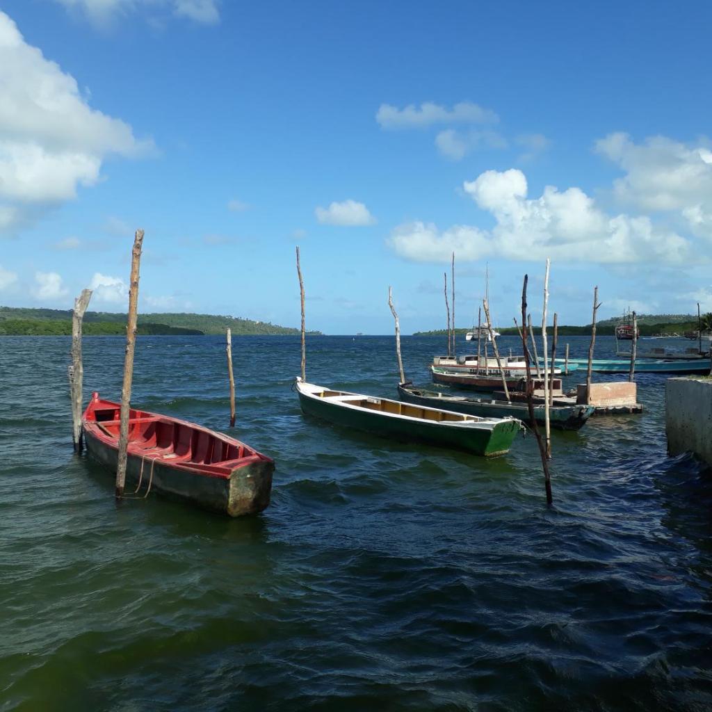 Refúgio das bouganvillea — foto 6