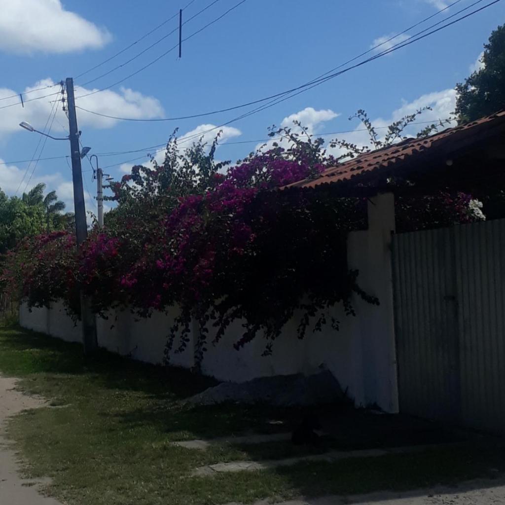 Refúgio das bouganvillea — foto 8