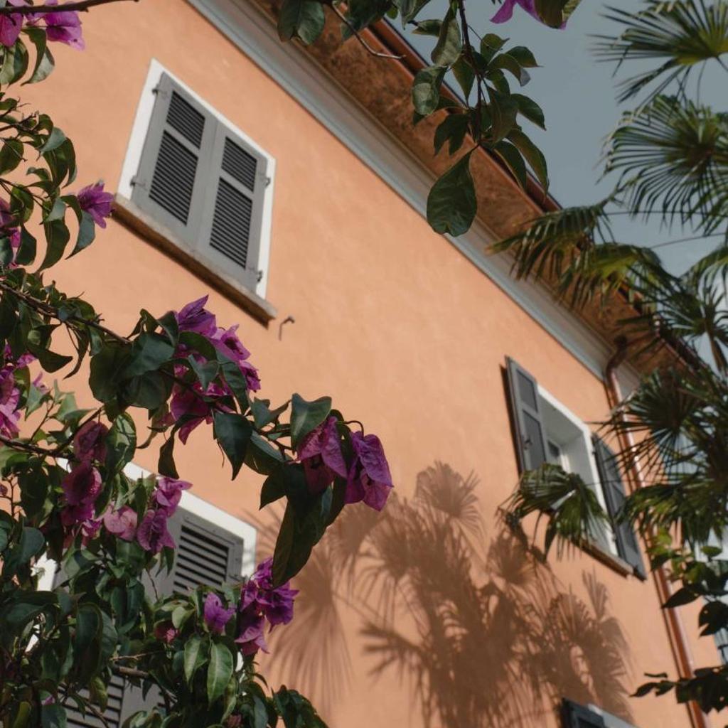 Stalder Meat & Bed – image