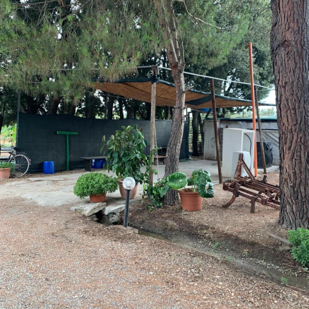 B&B Il Pomo d'oro photo