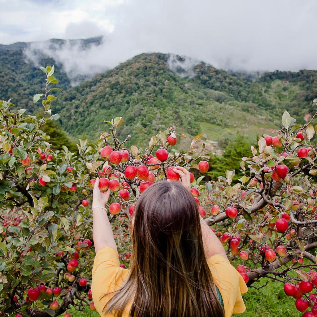 Savegre Hotel Natural Reserve & Spa — 