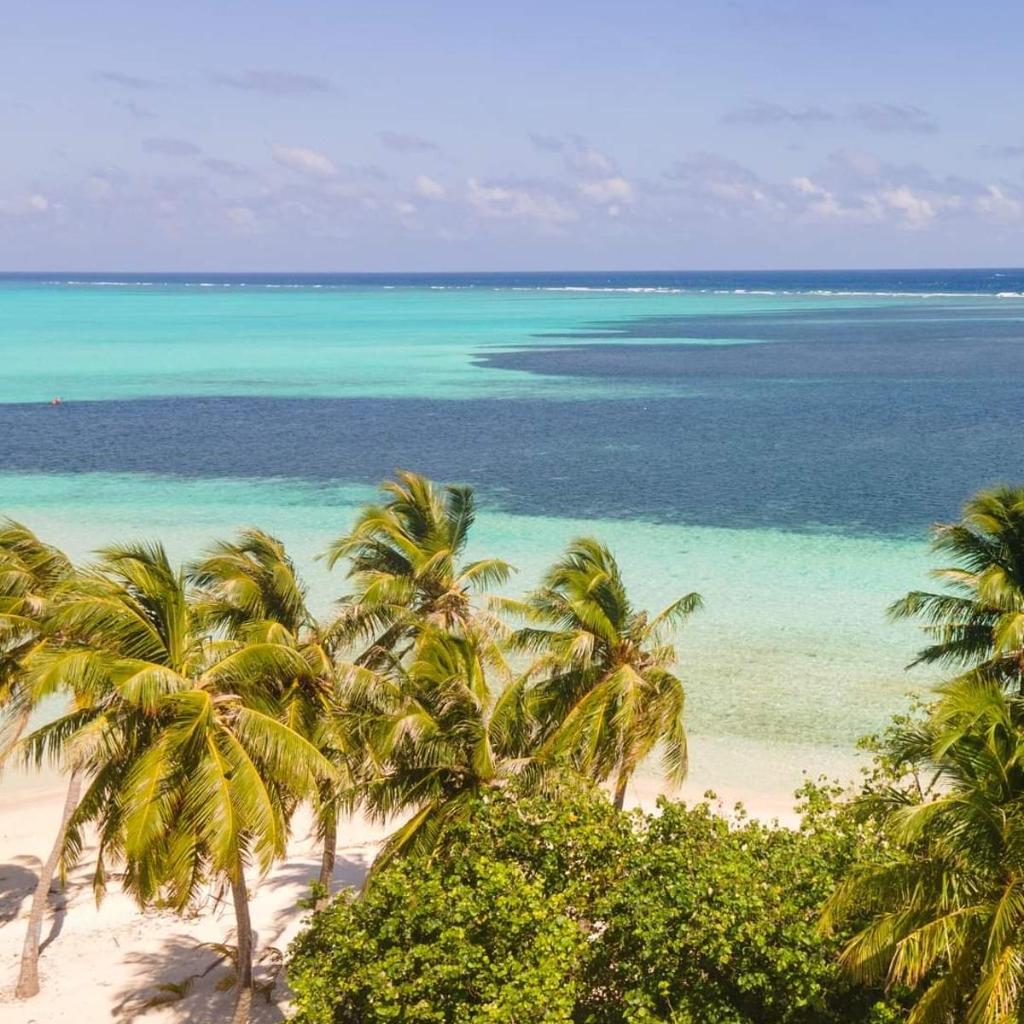 Niru Isle Maldives, photo 5