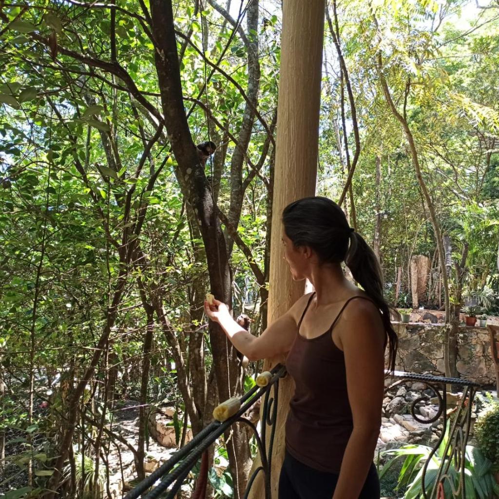 CASA DA MATA descanso e sossego na natureza — foto 4