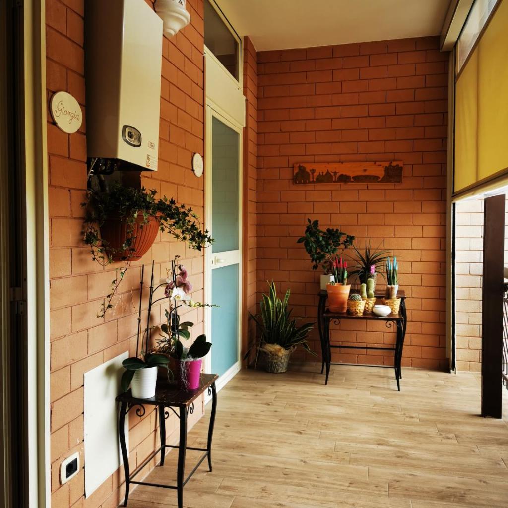 B&B Amelì photo