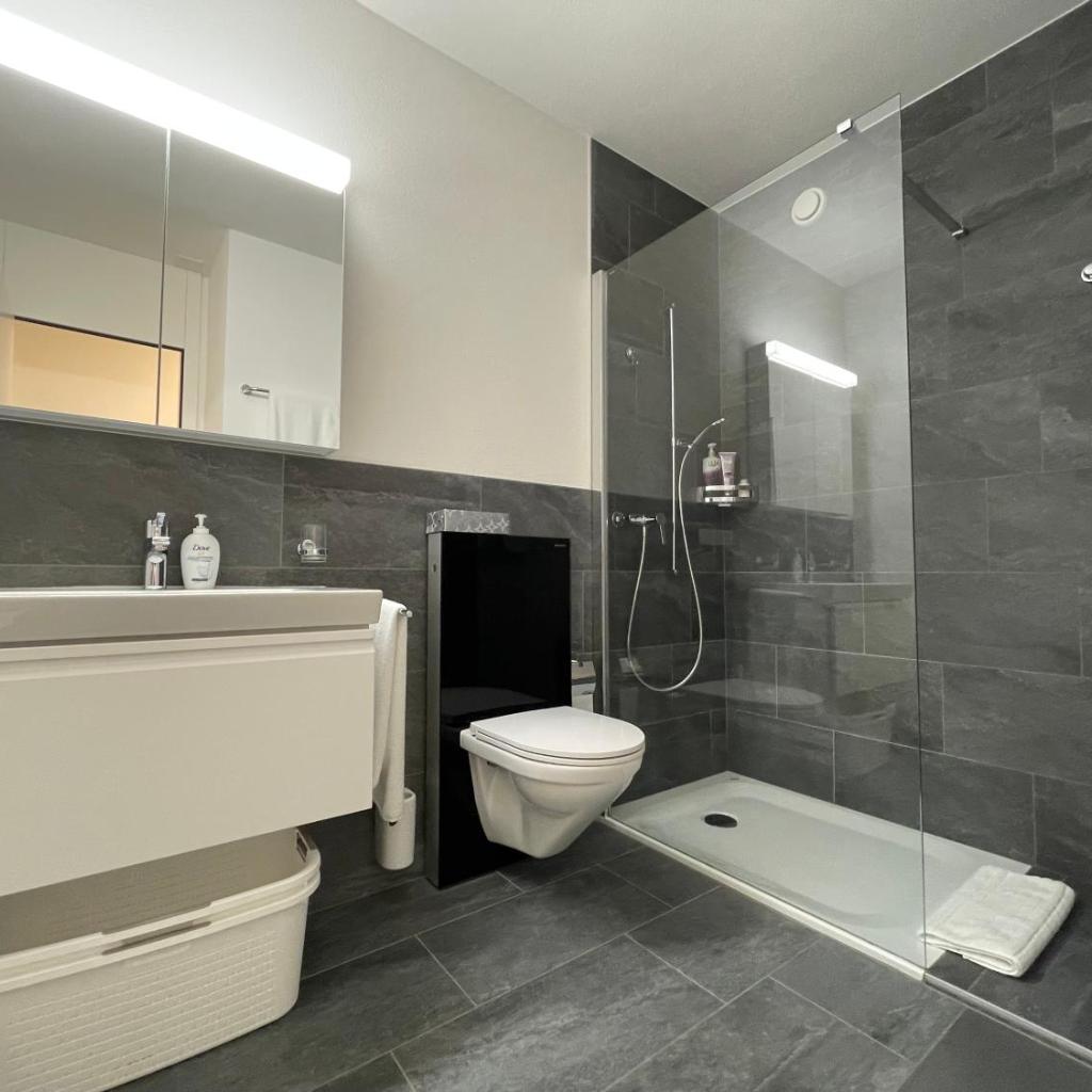 Image 5 - Locarno-Monti: Solemonte Apt.103