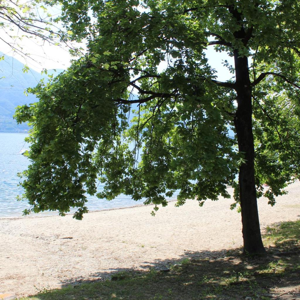 Image 50 - Appartamento con terrazza a due minuti dal lago