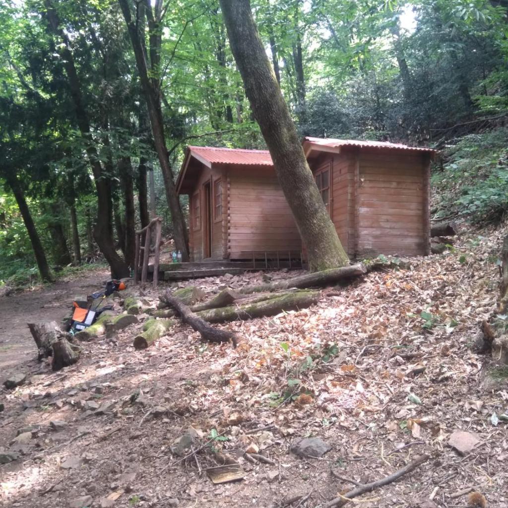 Image 19 - Casa Dora