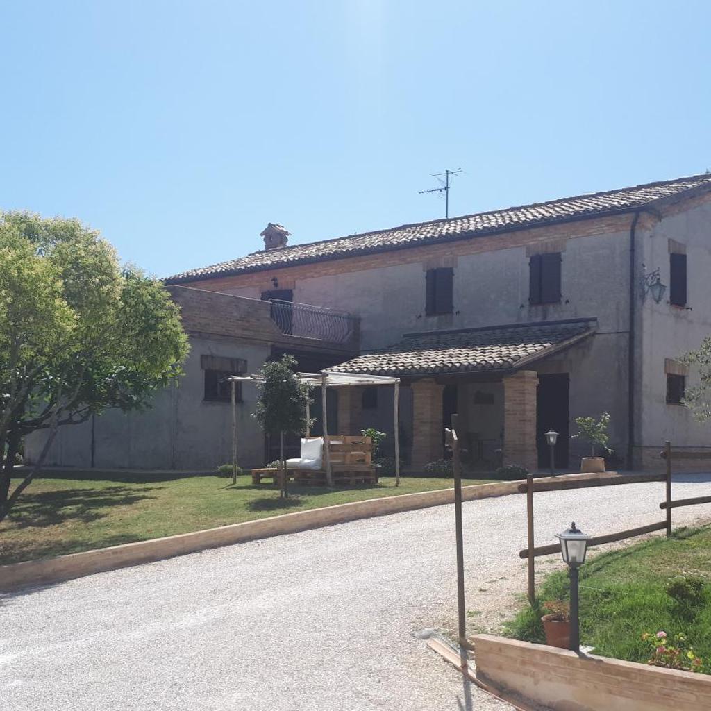 B&B I Pini Di Storaco photo