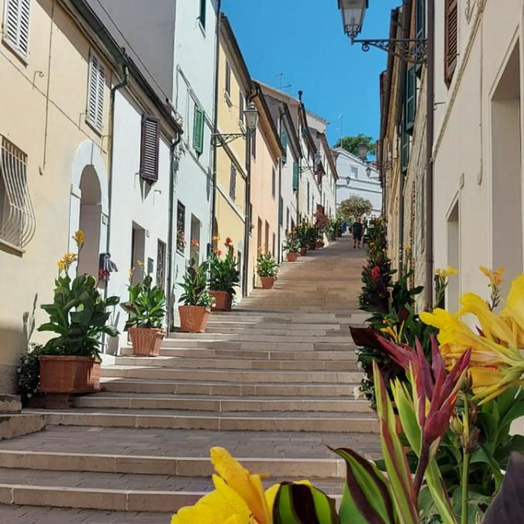 Agriturismo Sentiero delle Fiabe photo