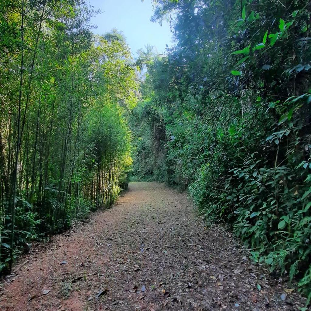 Pousada Arara — foto 11