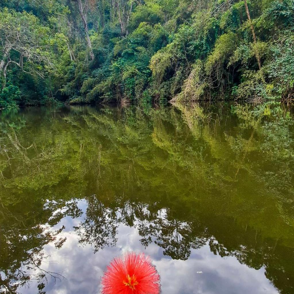 Pousada Arara — foto 6
