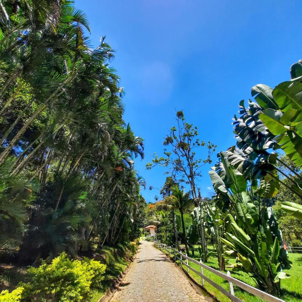 Pousada Arara — foto 4