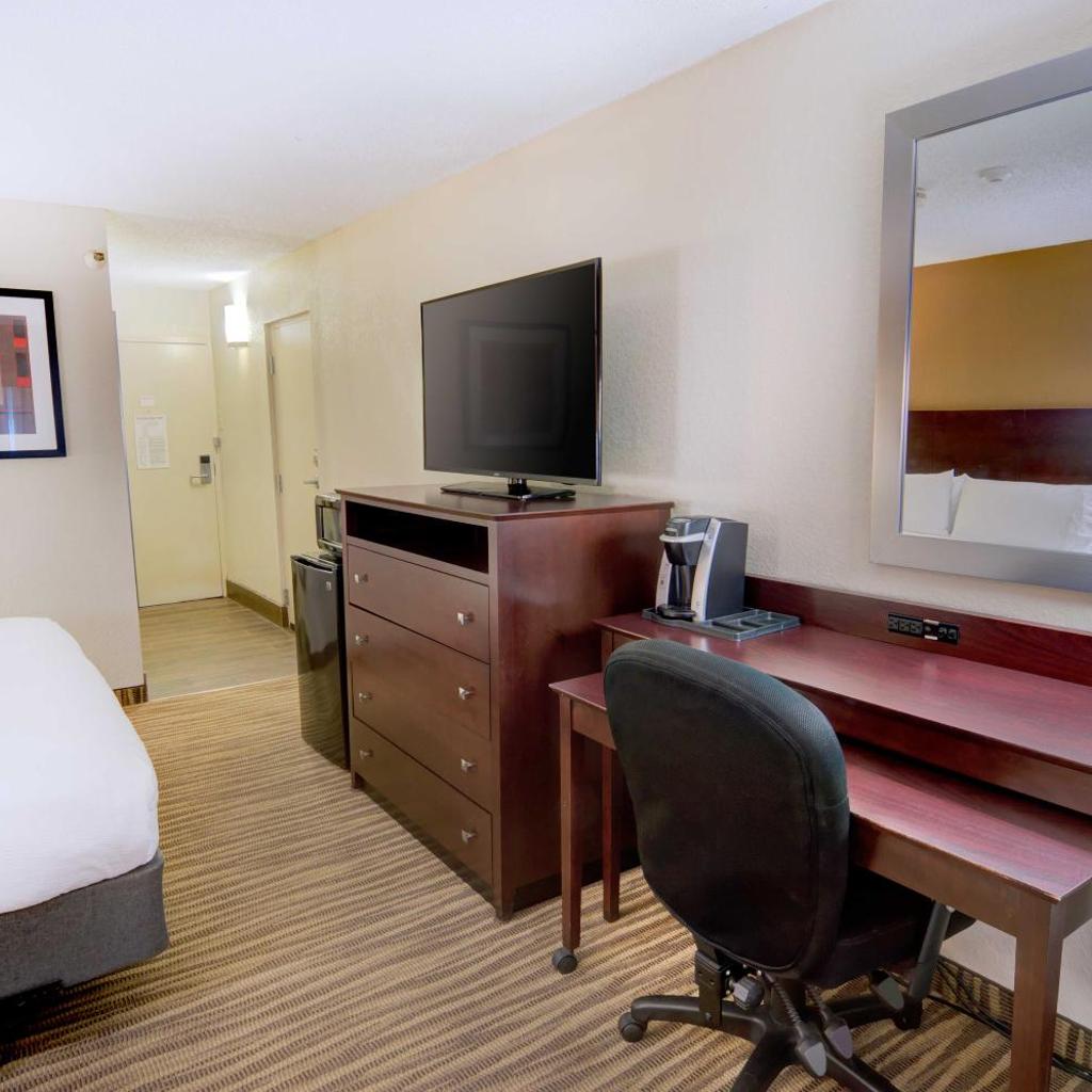 Photograph of Holiday Inn St. Petersburg N - Clearwater by IHG