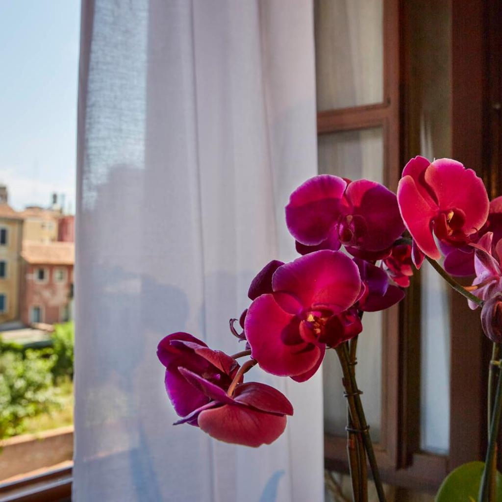 Photograph of Hotel Orsaria