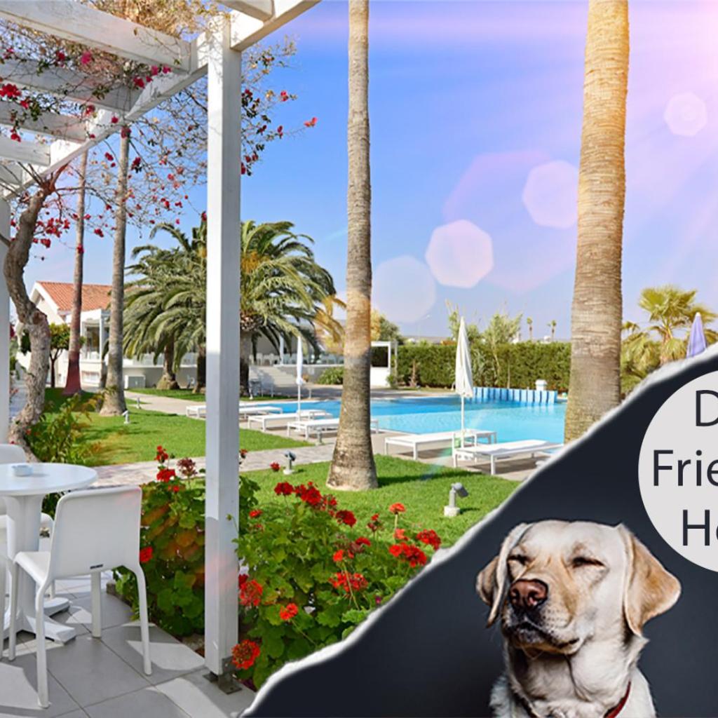 Mon Repos Hotel — 
