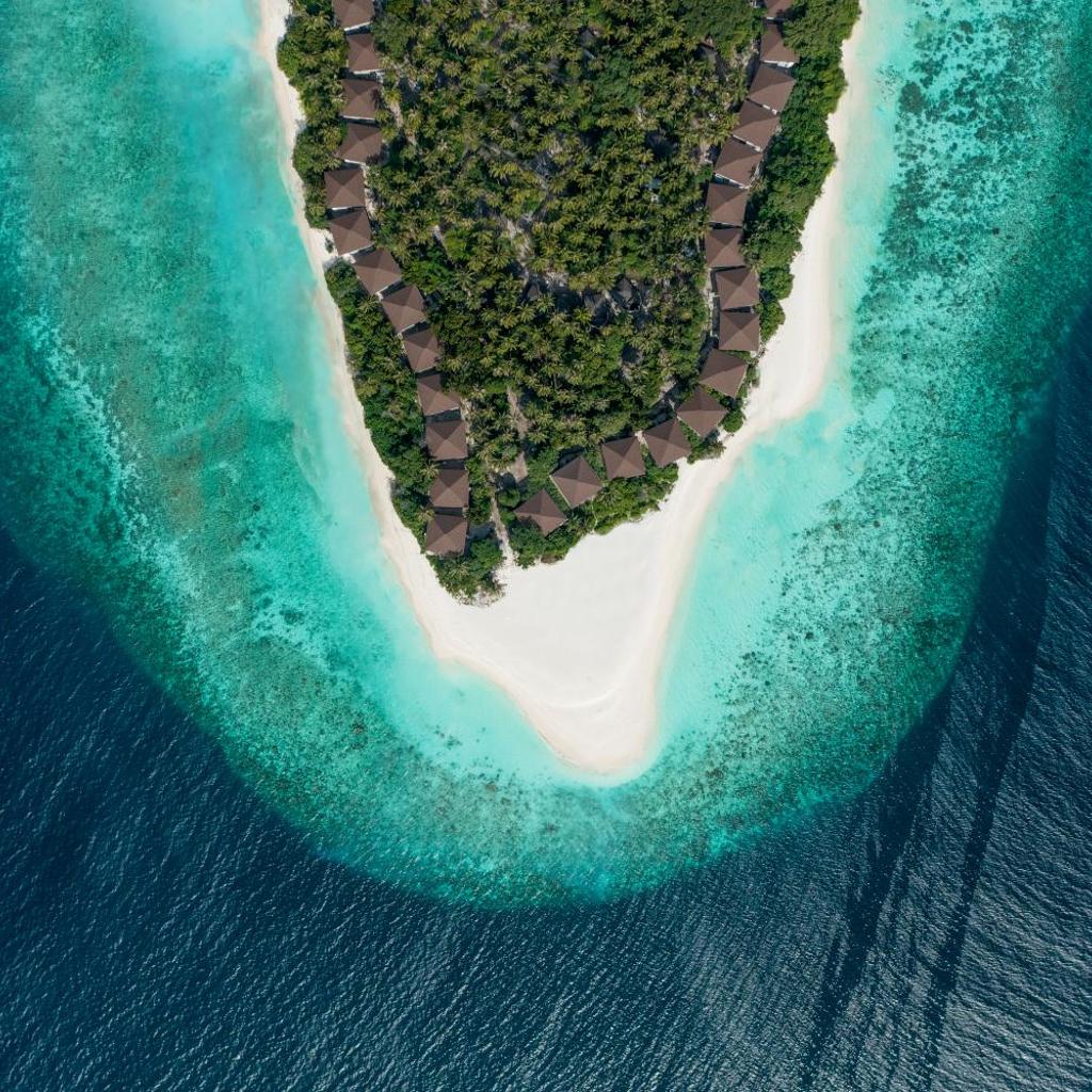 Avani + Fares Maldives, photo 3