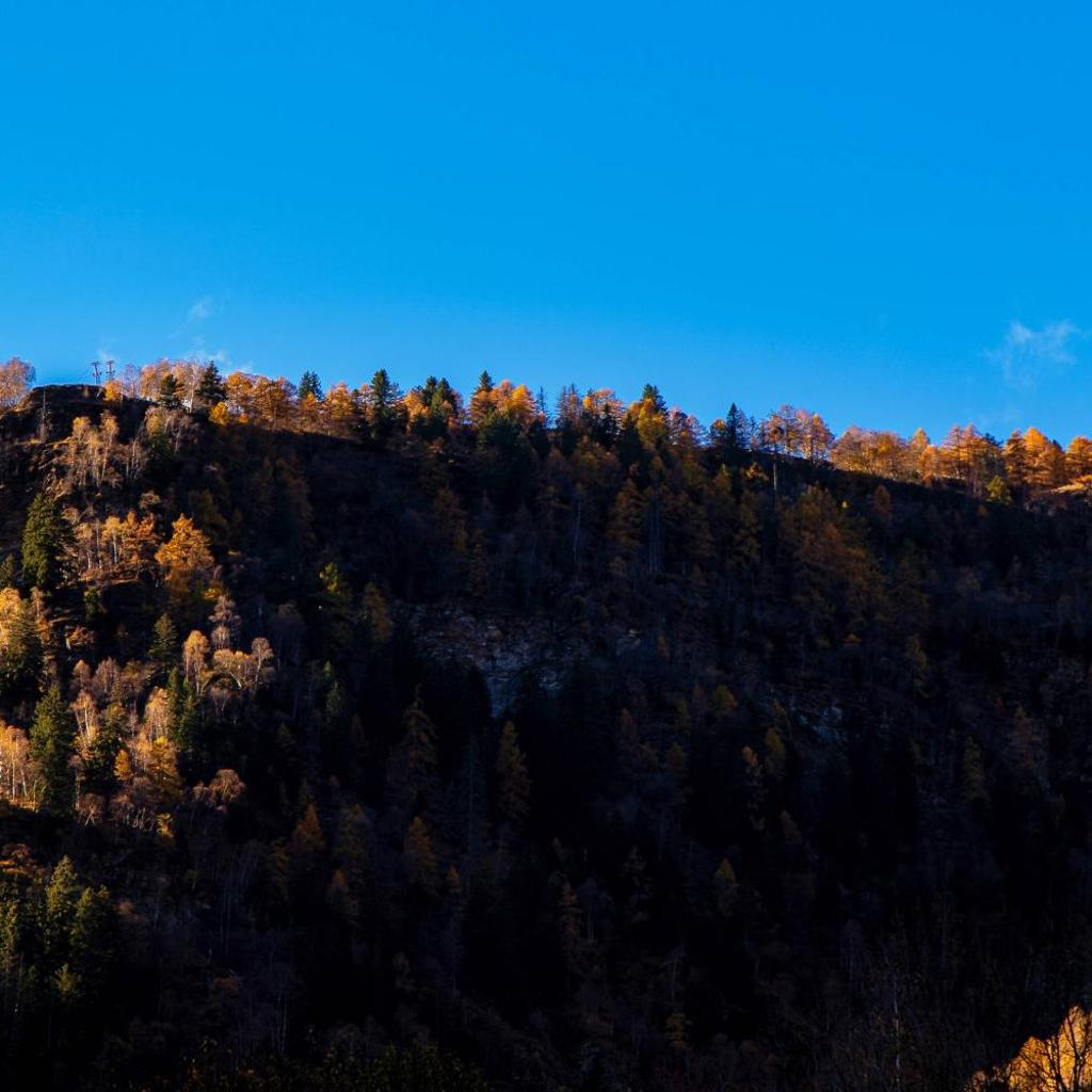 Image 41 - Chalet Nucleo 12 by Quokka 360 - Alpine Base for Bouldering Adventures in Leventina