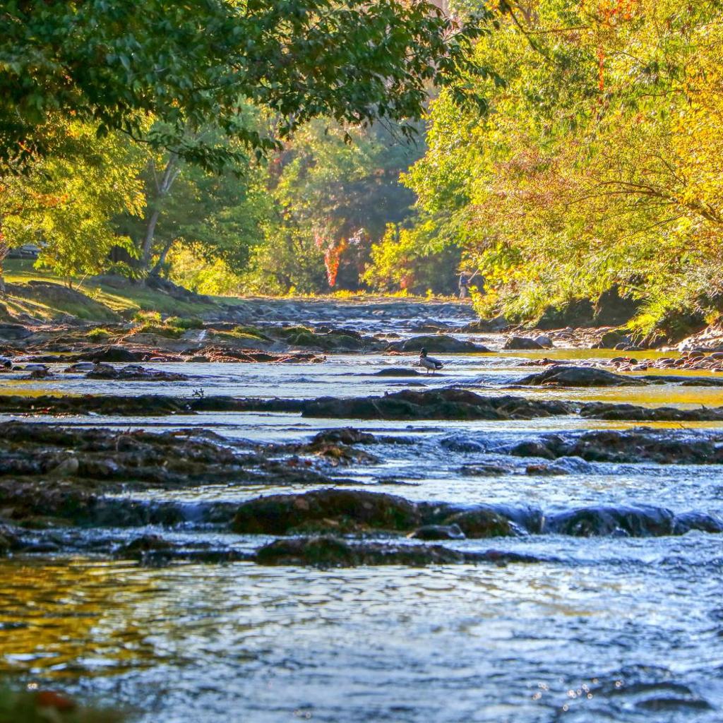 Photograph of RiverStone Condo Resort & Spa