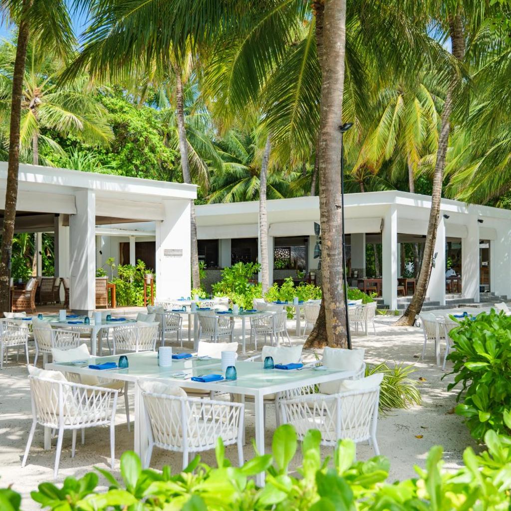 Amilla Maldives, photo 5