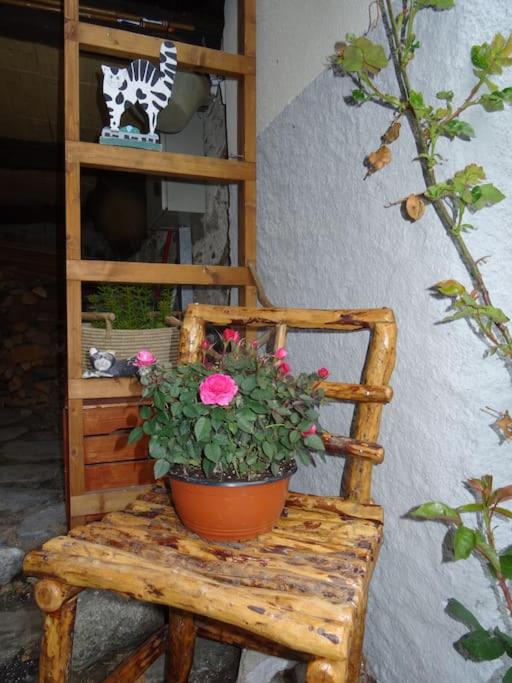 "CHALET dei FIORI" room & apartment – Bild