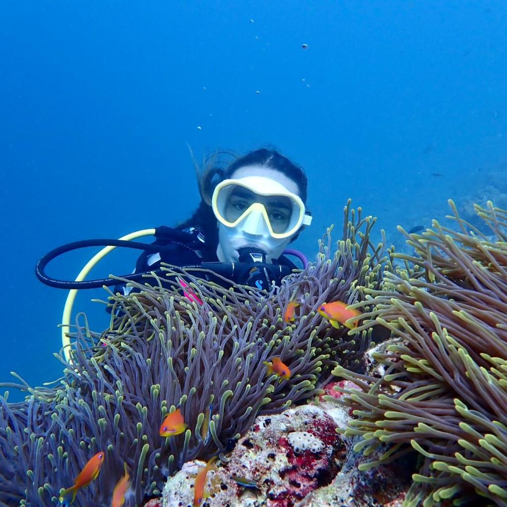 Viluveli Holiday Retreat, photo 3