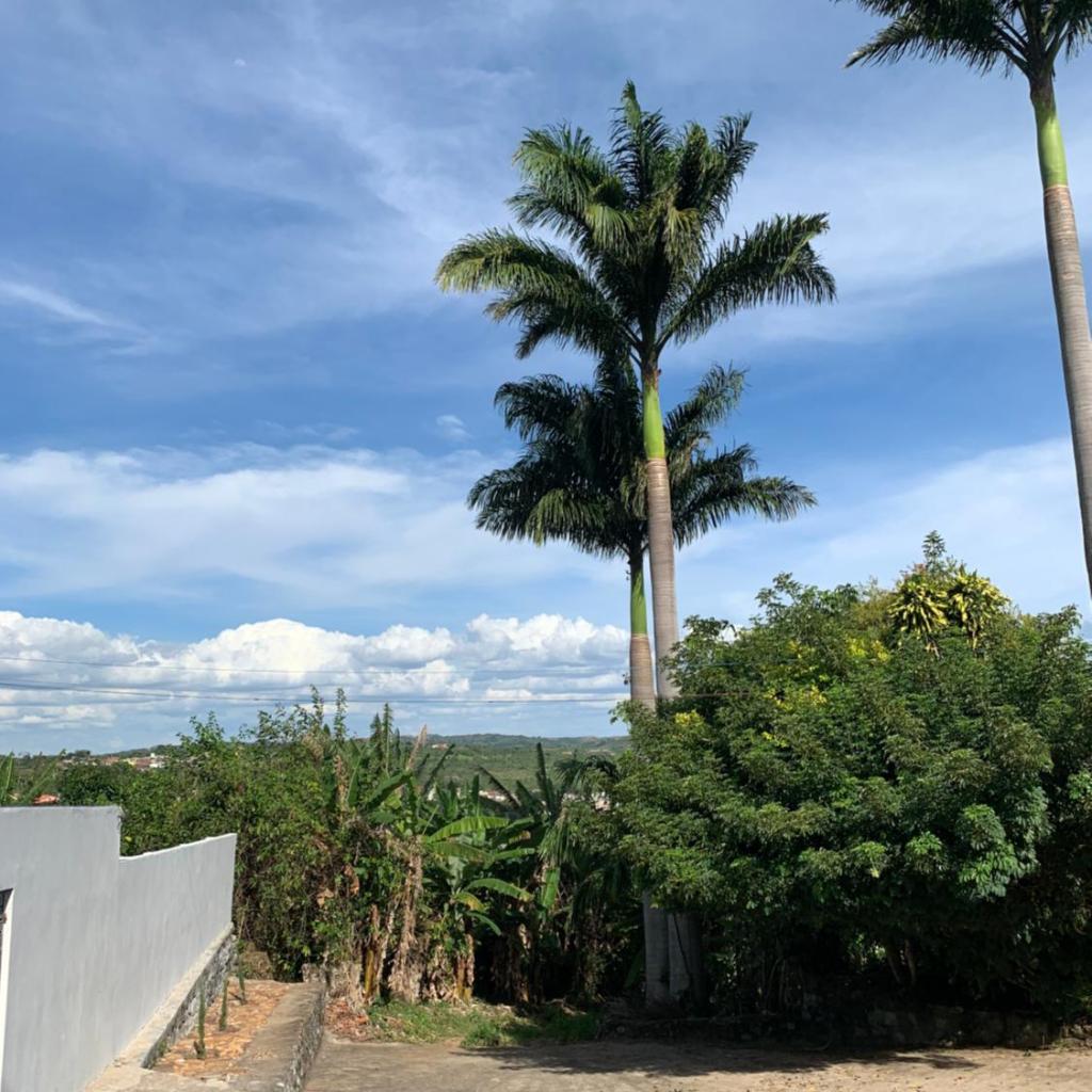 Casa do Vale — foto 11
