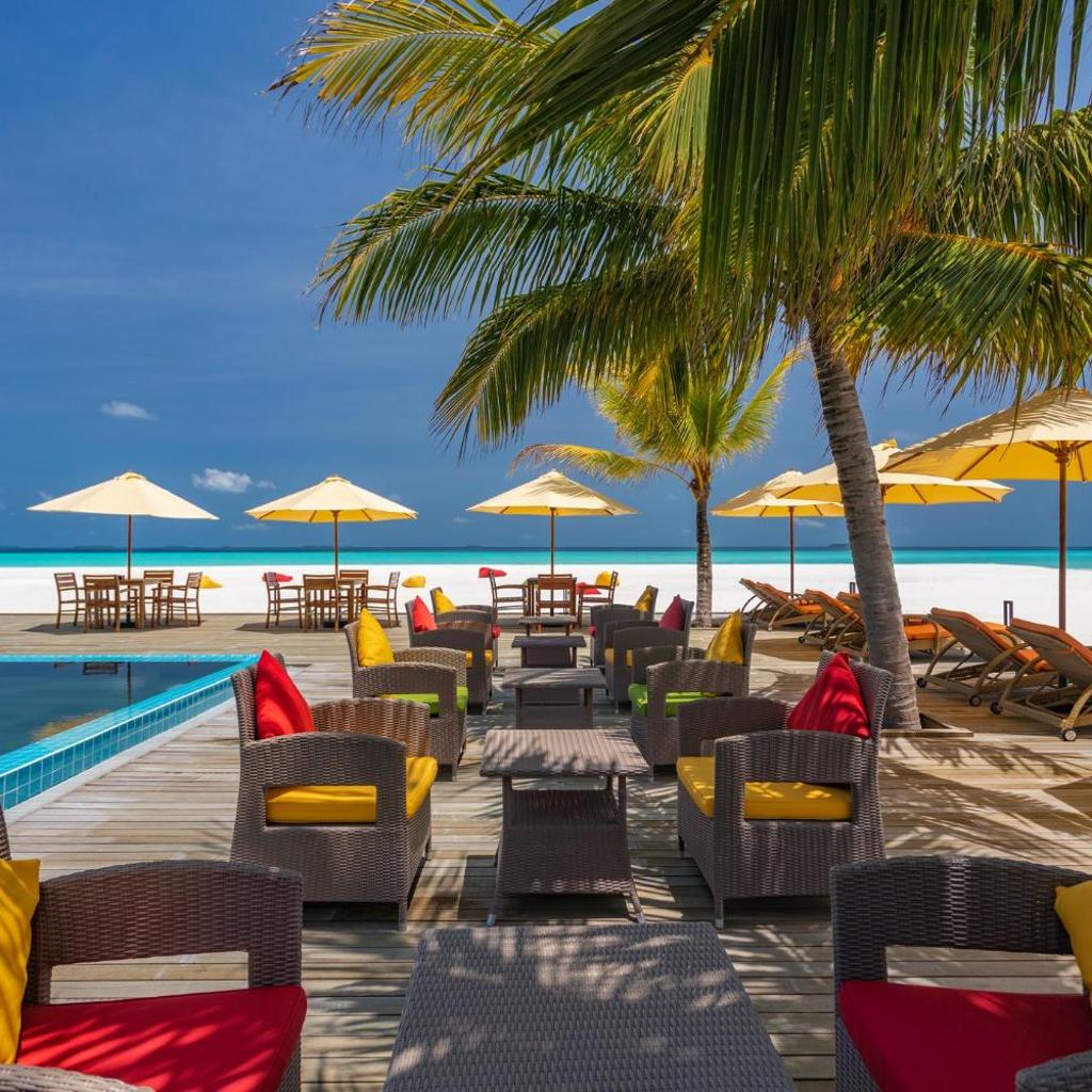 Dhigufaru Island Resort, photo 5