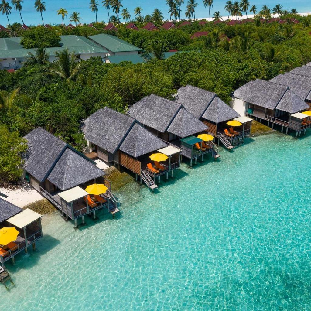 Dhigufaru Island Resort, photo 4