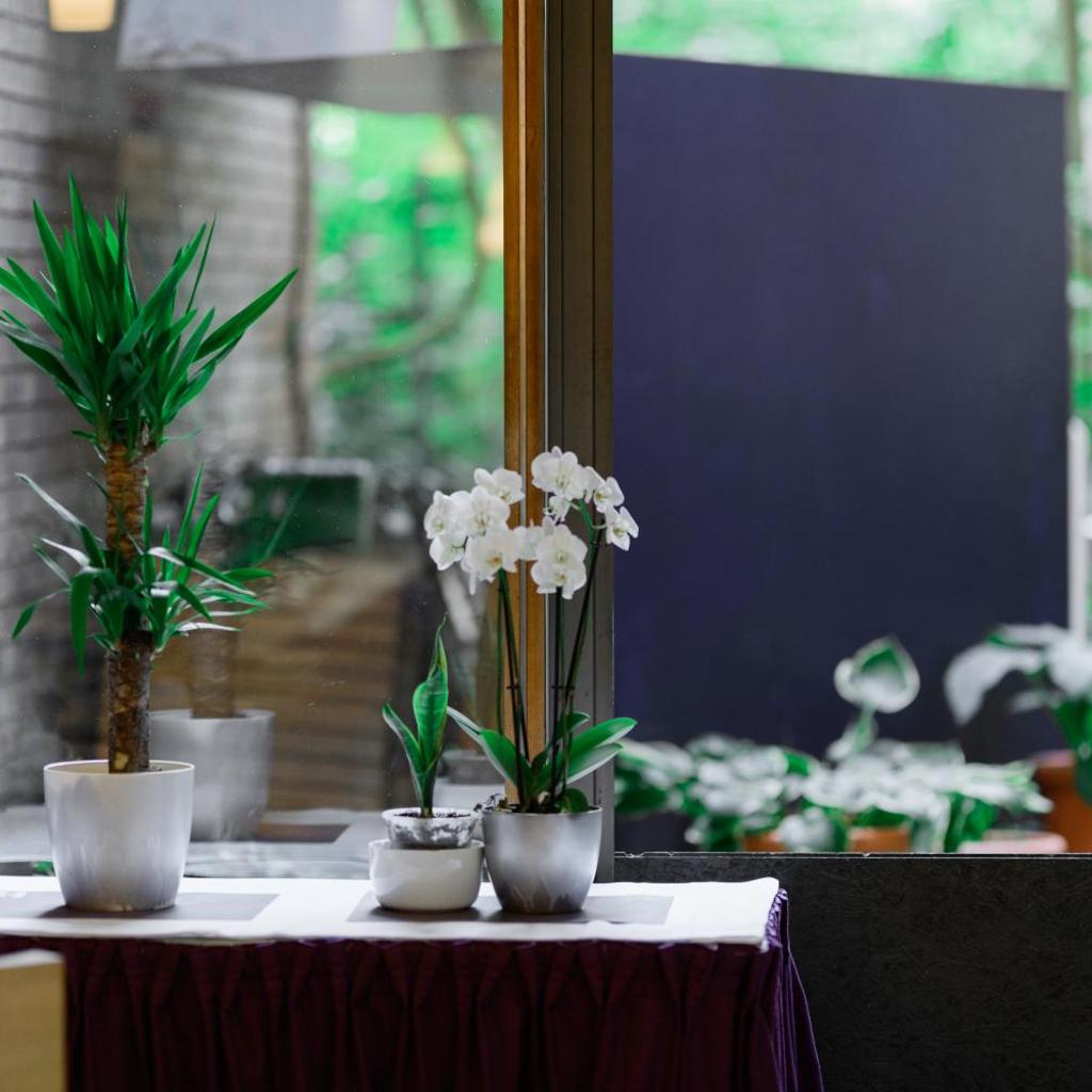 Photograph of Hotel Bleibtreu Berlin by Golden Tulip