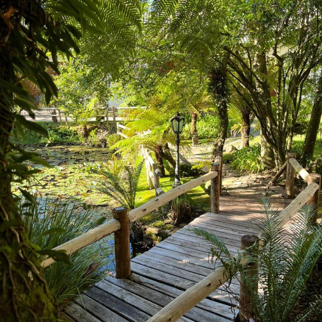 Natur Hotel - 700m da Rua Coberta — foto 5