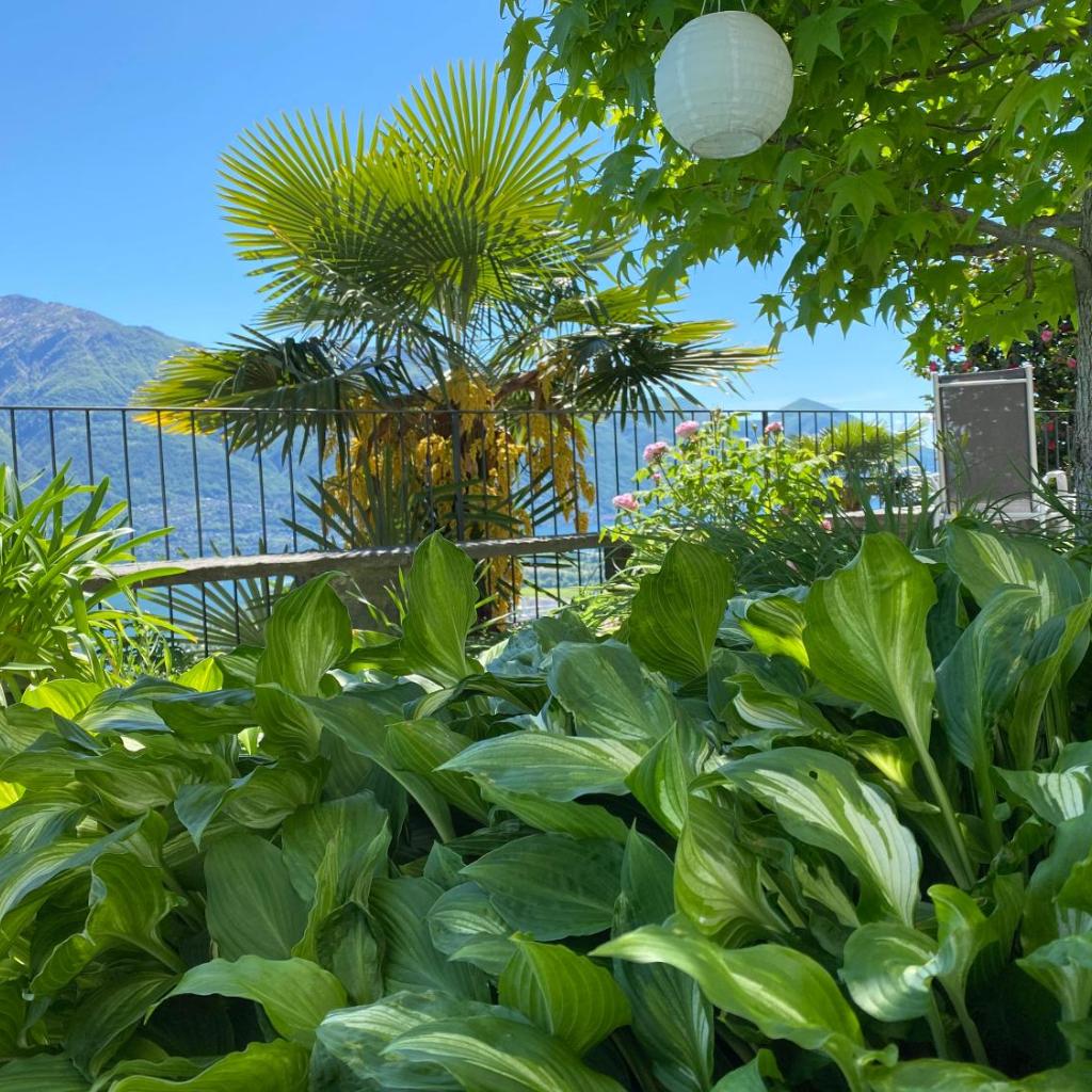 Image 27 - Casa Sonora