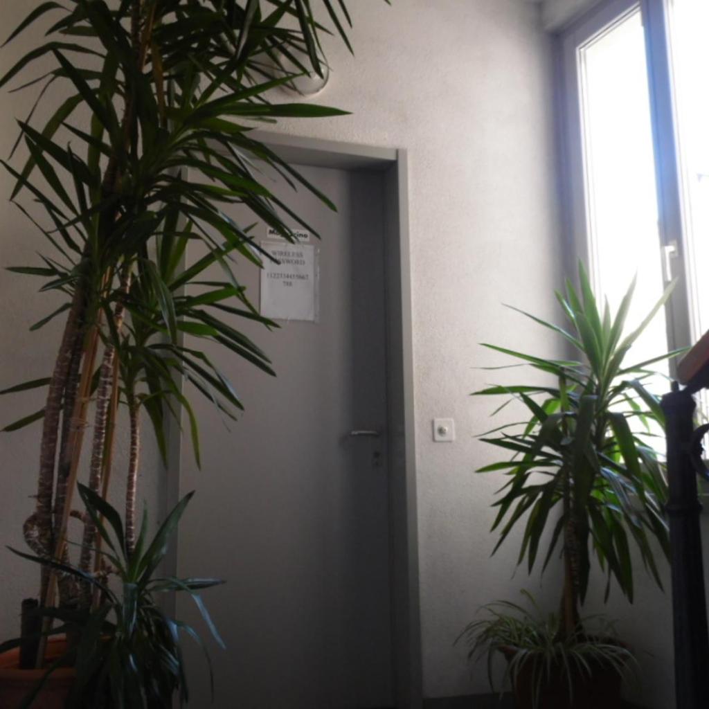 Garni Bar Sport – Bild