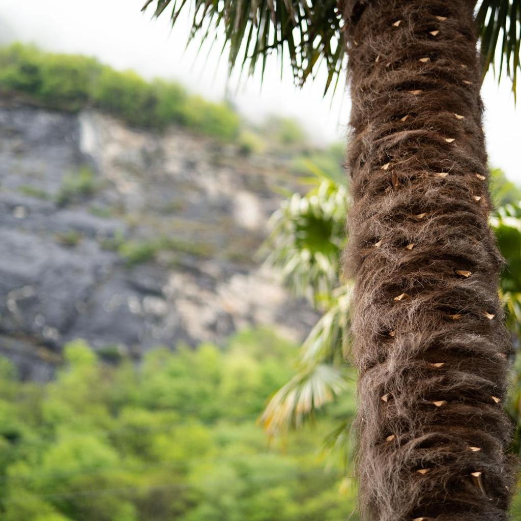 CASA BELGERI - Bed & Breakfast – Bild