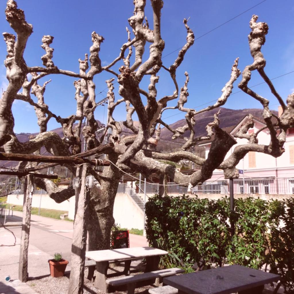 Image 12 - Ristorante Ferrovieri