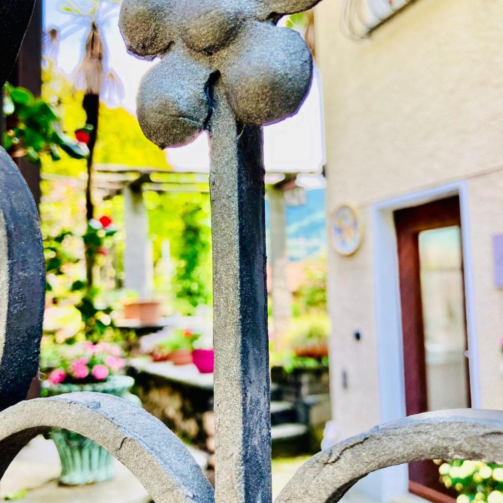 Casa Angiolina - Holidays – Bild