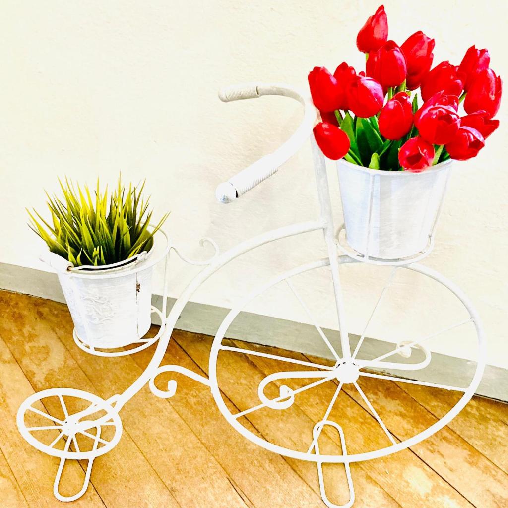 Casa Angiolina - Holidays – Bild