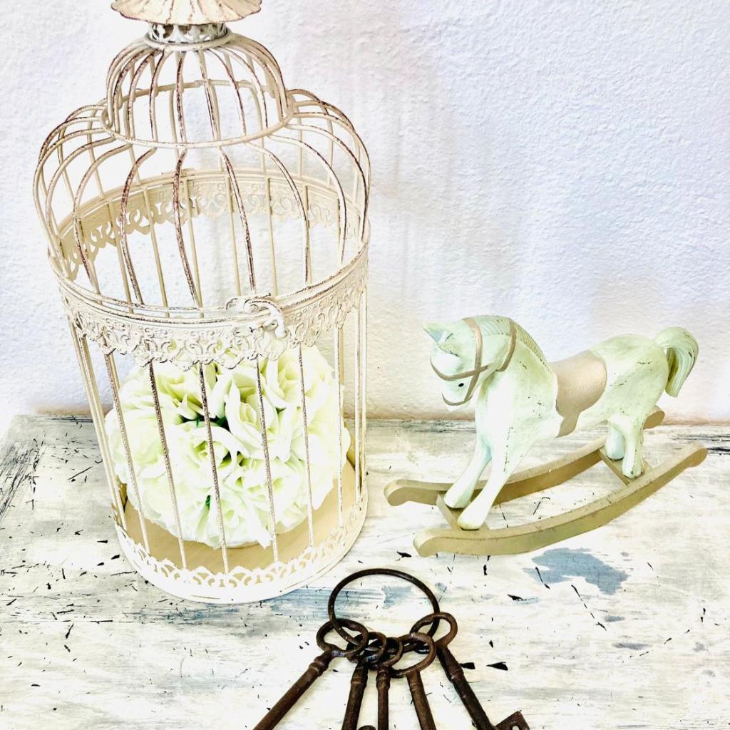 Casa Angiolina - Holidays – Bild