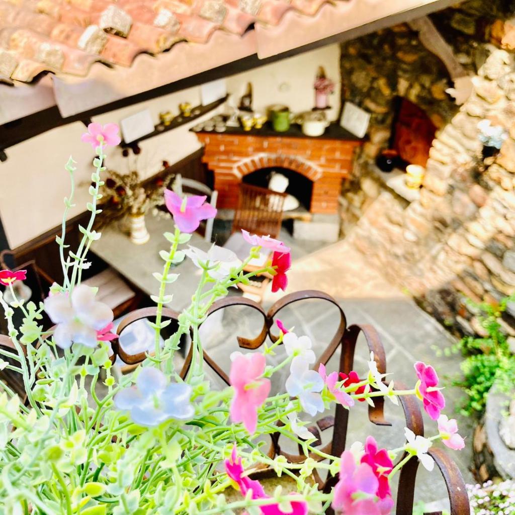 Casa Angiolina - Holidays – Bild